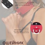Ошейник женский Fire Horse а125448
